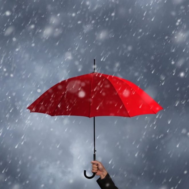 Weathering Life’s Storms: The Courage to Keep Moving Forward